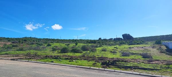 565 m² Land