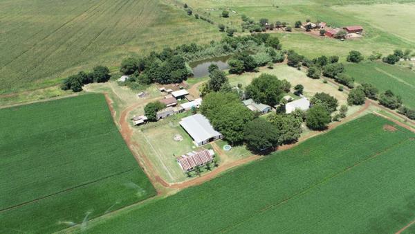 36 ha Farm