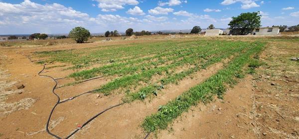 2 ha Farm