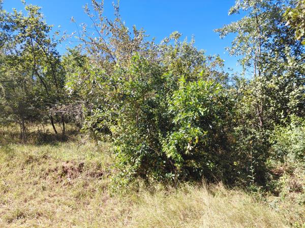 1 168 m² Land