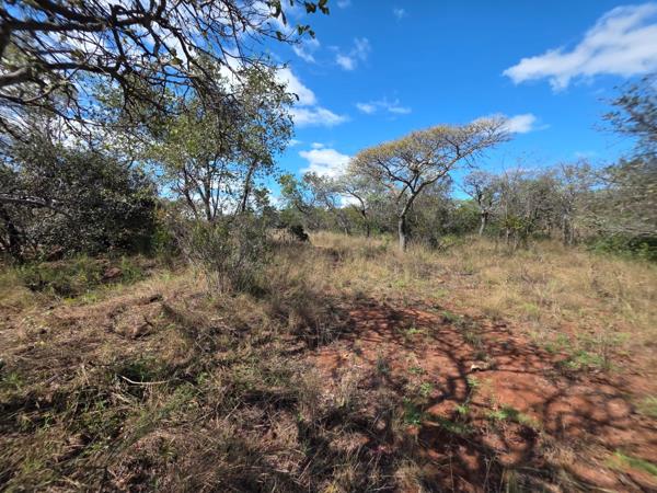 2 500 m² Land