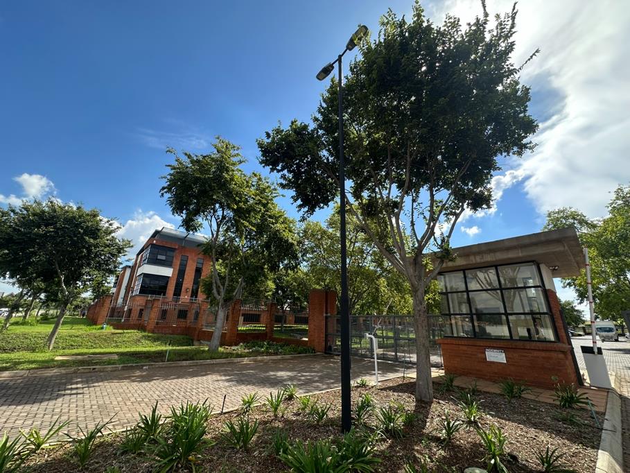 196 m² Office Space