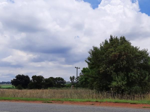 1.3 ha Smallholding
