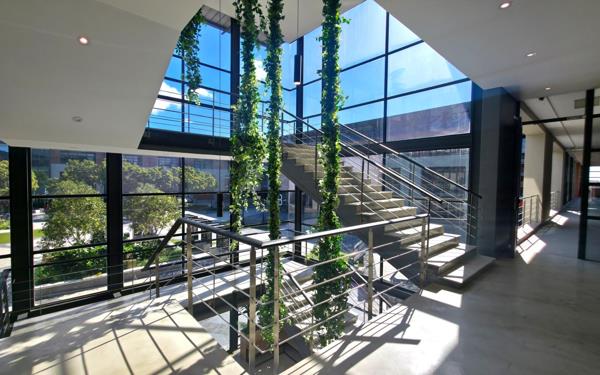 250 m² Office Space