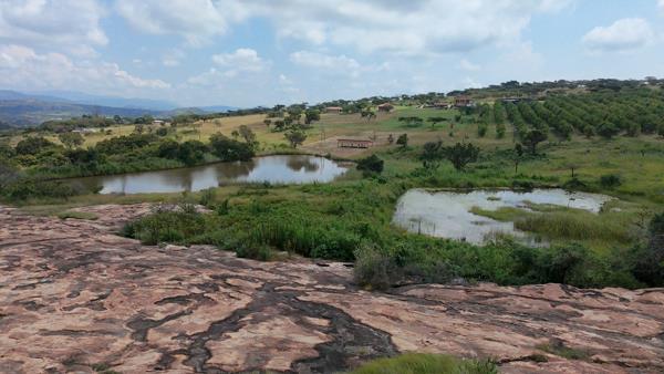 11 ha Farm