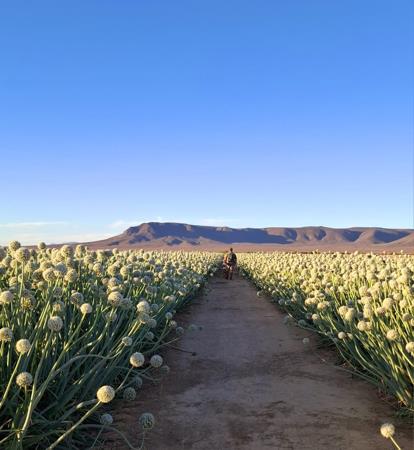 7 826 ha Farm
