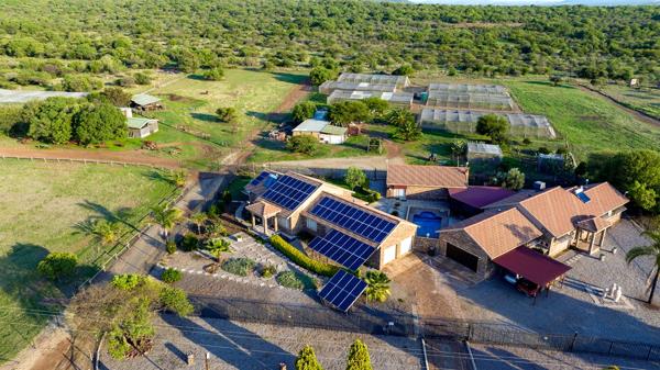 5.3 ha Smallholding