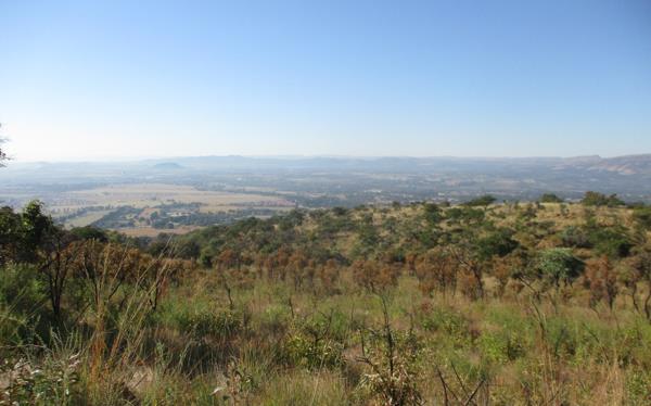 2.1 ha Land
