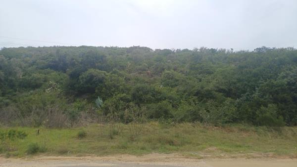 3 ha Land