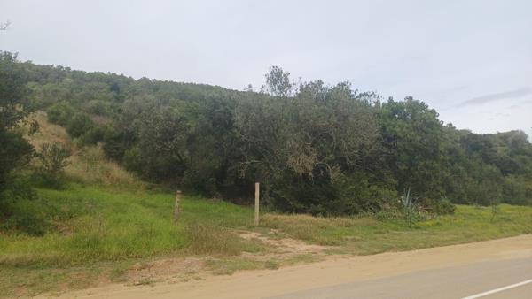 3 ha Land