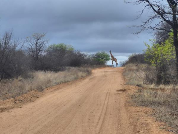 21.4 ha Land