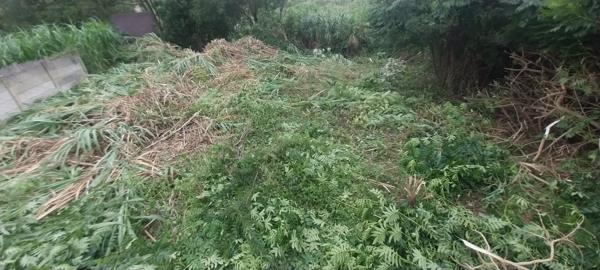 1 099 m² Land