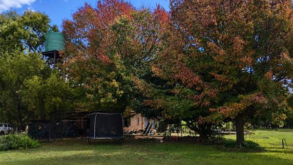 59.9 ha Smallholding