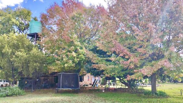 59.9 ha Smallholding