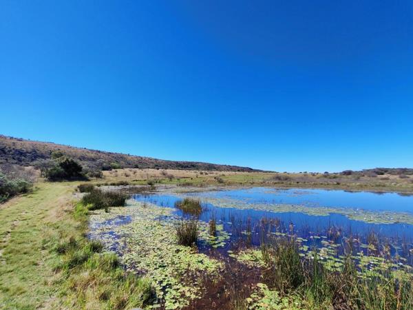 288.8 ha Commercial Farm
