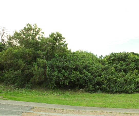 877 m² Land
