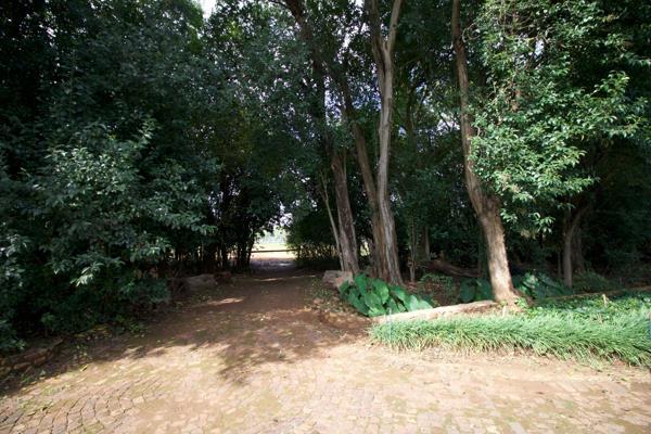 1.4 ha Smallholding
