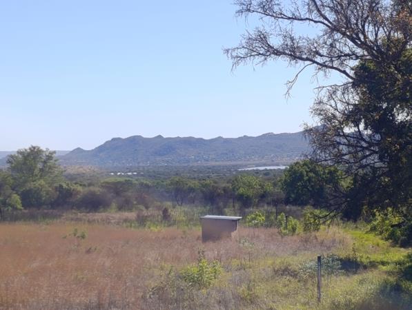 4.2 ha Smallholding