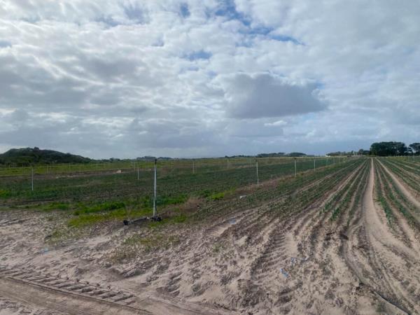 2 000 m² Land