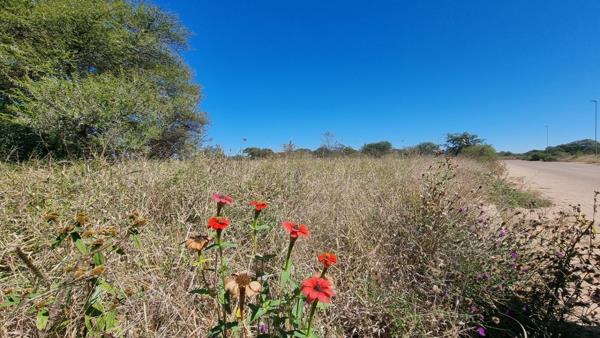 1.2 ha Land
