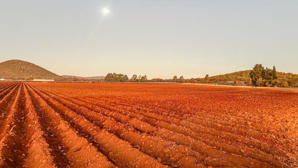 178.6 ha Commercial Farm