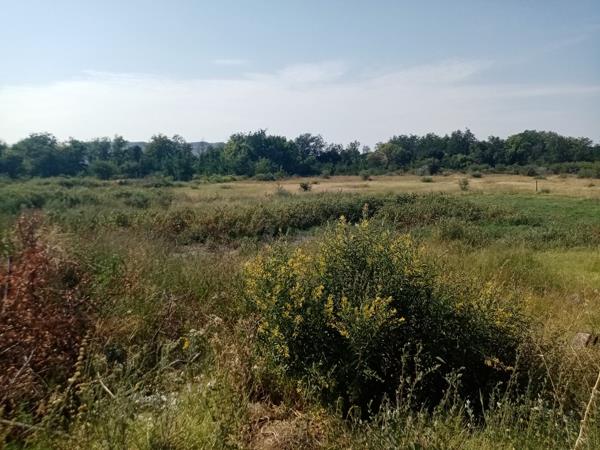 892 m² Land