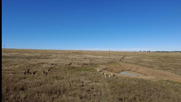 1.7 ha Land