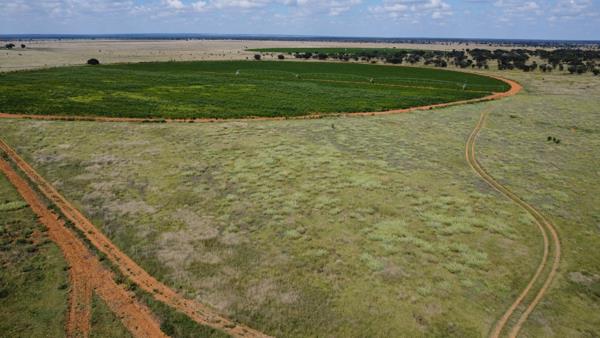498 ha Commercial Farm