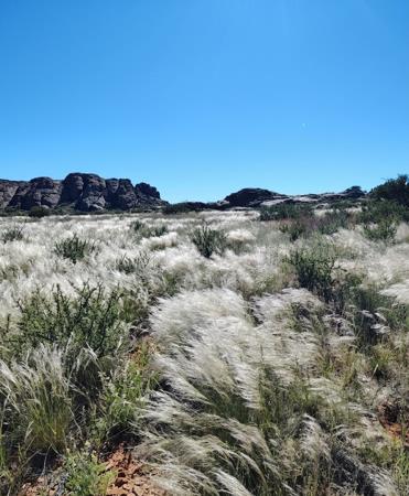 8 088 ha Farm
