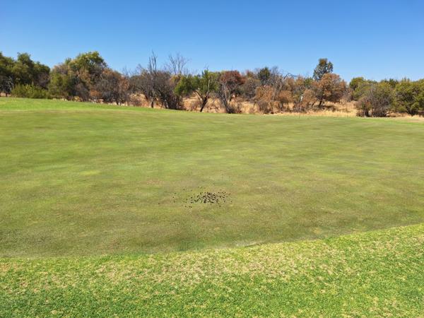 1 350 m² Land