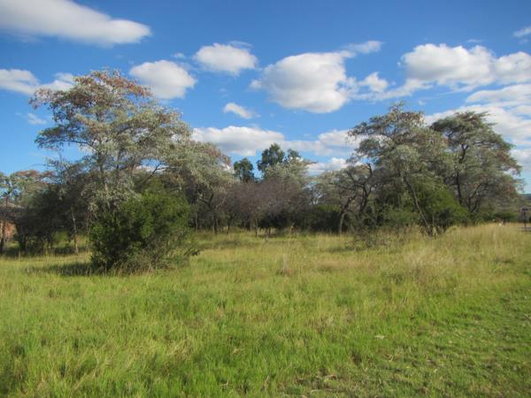 994 m² Land
