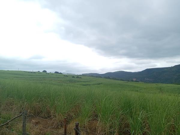 20 ha Farm