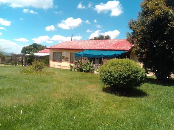 17 493 ha Farm