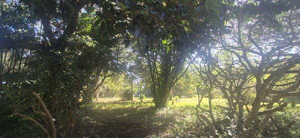 1 109 m² Land
