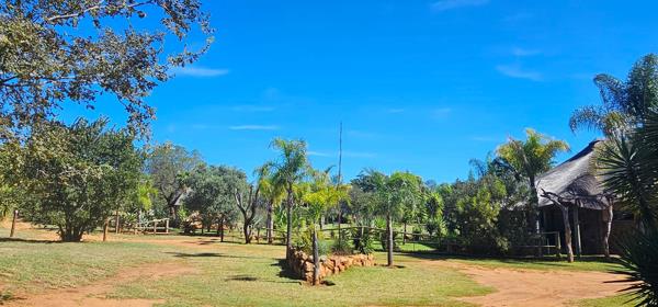 288 m² Commercial space