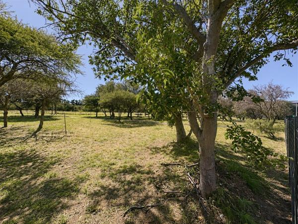 1 719 m² Land