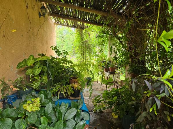 3.4 ha Smallholding