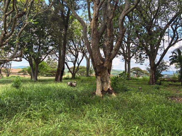2.2 ha Land