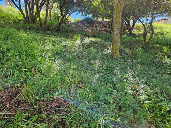 905 m² Land