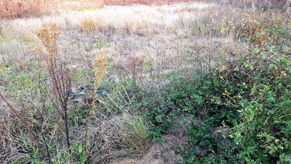 810 m² Land