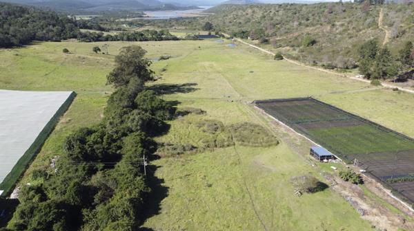 35.6 ha Agricultural Holding