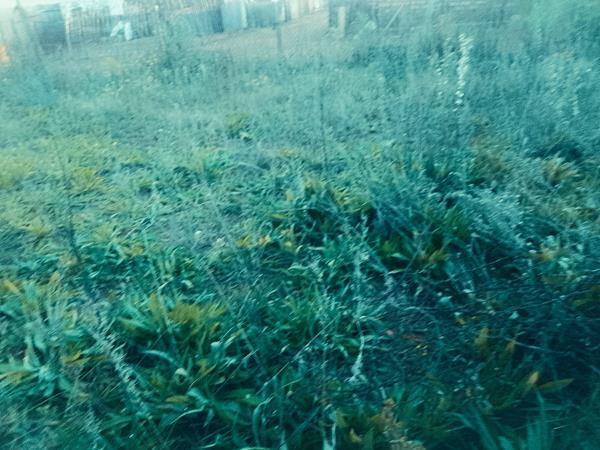 408 m² Land