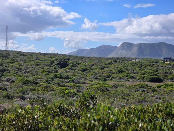 1 229 m² Land