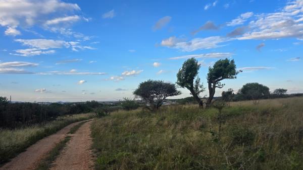 981 m² Land