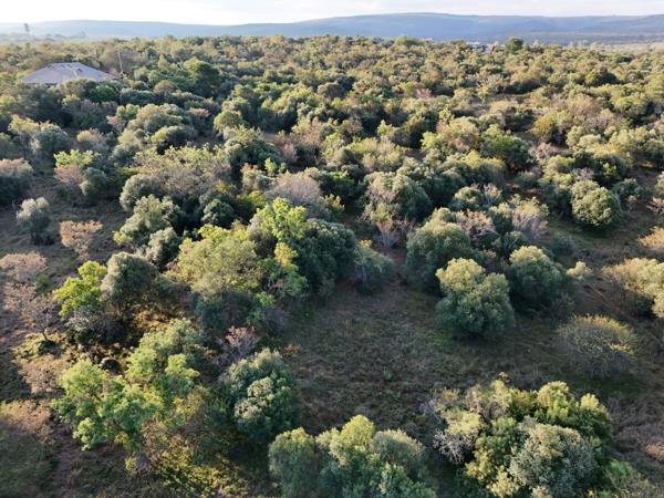 1 500 m² Land