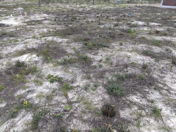 294 m² Land