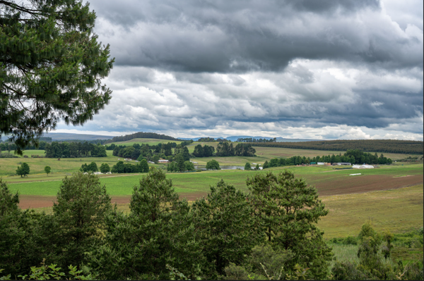 858 m² Land