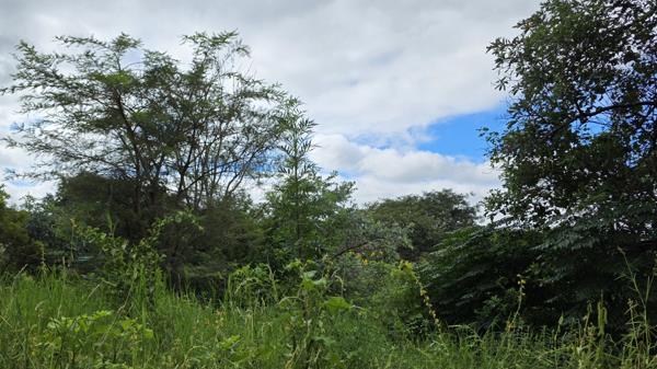 1 049 m² Land