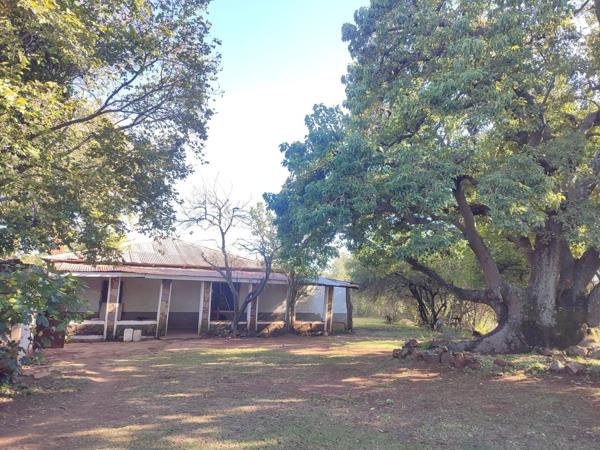 163 ha Farm