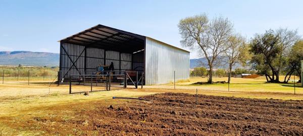31 ha Farm